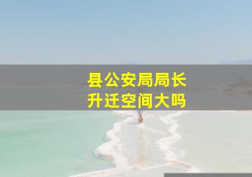 县公安局局长升迁空间大吗