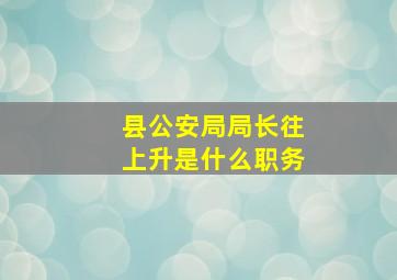 县公安局局长往上升是什么职务