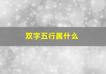 双字五行属什么