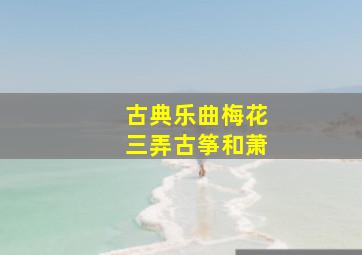 古典乐曲梅花三弄古筝和萧