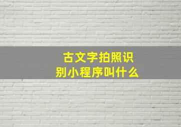 古文字拍照识别小程序叫什么