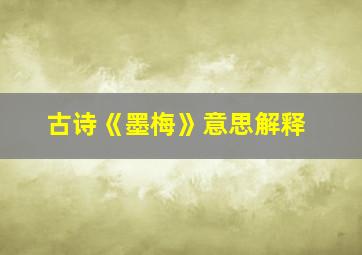 古诗《墨梅》意思解释