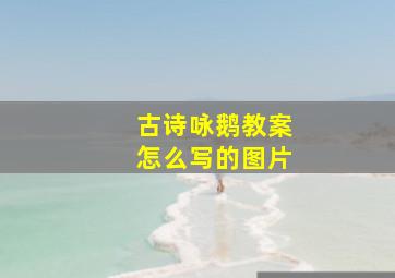 古诗咏鹅教案怎么写的图片