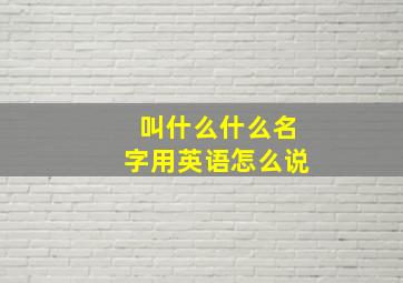 叫什么什么名字用英语怎么说