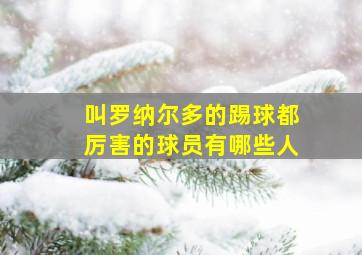 叫罗纳尔多的踢球都厉害的球员有哪些人