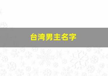 台湾男主名字