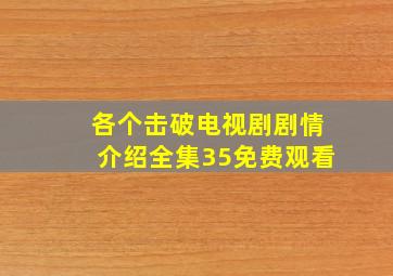 各个击破电视剧剧情介绍全集35免费观看