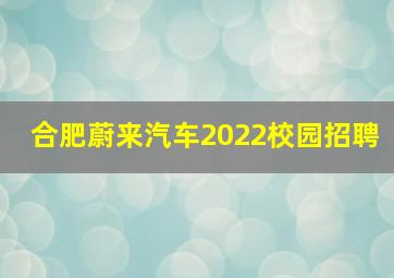 合肥蔚来汽车2022校园招聘