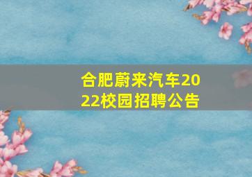 合肥蔚来汽车2022校园招聘公告