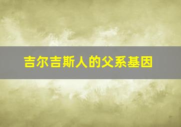 吉尔吉斯人的父系基因