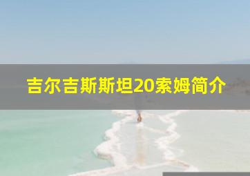 吉尔吉斯斯坦20索姆简介