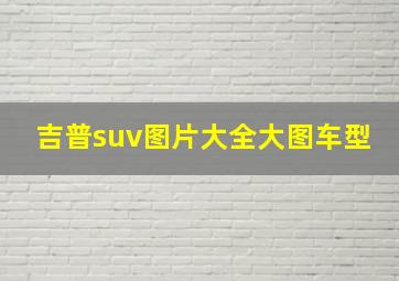 吉普suv图片大全大图车型