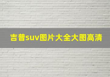 吉普suv图片大全大图高清