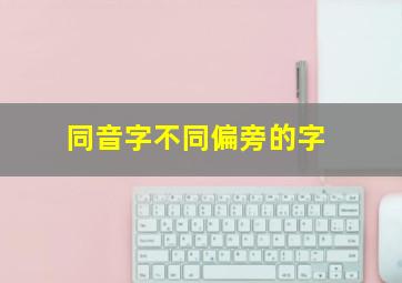 同音字不同偏旁的字