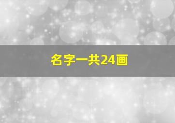 名字一共24画