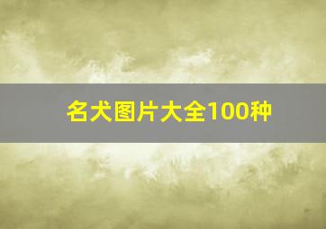 名犬图片大全100种