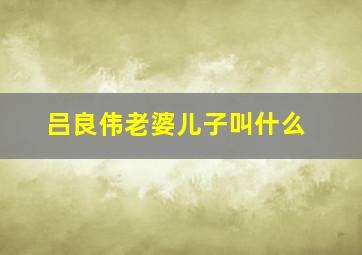 吕良伟老婆儿子叫什么