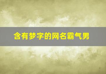 含有梦字的网名霸气男