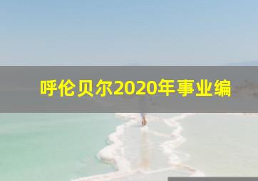 呼伦贝尔2020年事业编