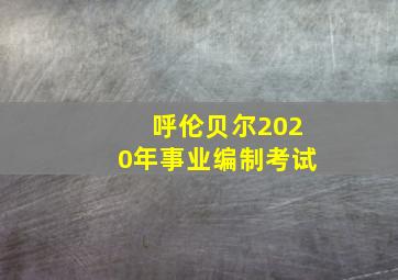 呼伦贝尔2020年事业编制考试