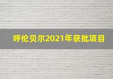 呼伦贝尔2021年获批项目