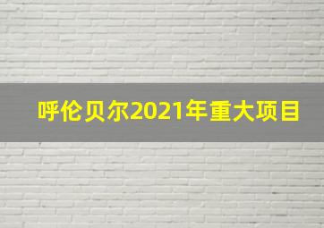 呼伦贝尔2021年重大项目