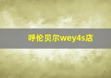 呼伦贝尔wey4s店