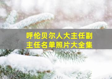 呼伦贝尔人大主任副主任名单照片大全集