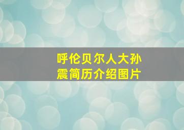 呼伦贝尔人大孙震简历介绍图片