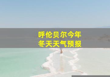 呼伦贝尔今年冬天天气预报