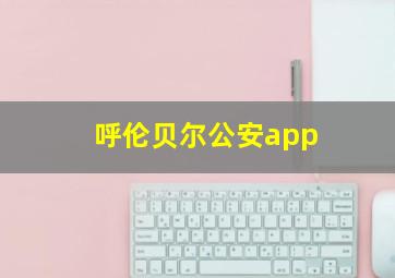 呼伦贝尔公安app