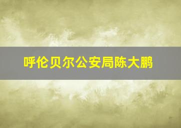 呼伦贝尔公安局陈大鹏