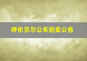 呼伦贝尔公车拍卖公告