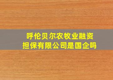 呼伦贝尔农牧业融资担保有限公司是国企吗