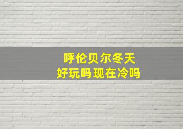 呼伦贝尔冬天好玩吗现在冷吗