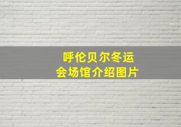 呼伦贝尔冬运会场馆介绍图片