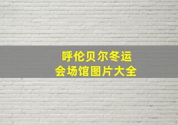 呼伦贝尔冬运会场馆图片大全