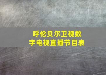 呼伦贝尔卫视数字电视直播节目表