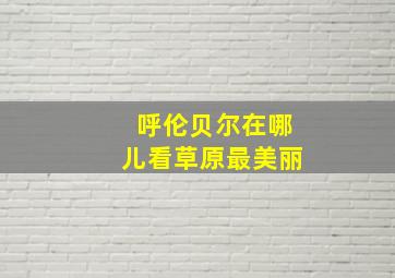 呼伦贝尔在哪儿看草原最美丽