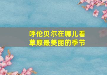 呼伦贝尔在哪儿看草原最美丽的季节