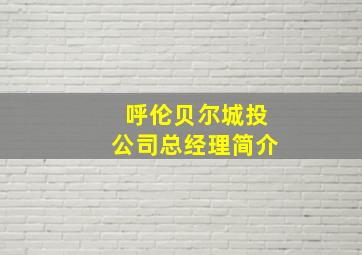 呼伦贝尔城投公司总经理简介