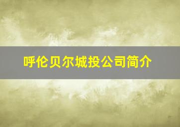 呼伦贝尔城投公司简介