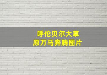 呼伦贝尔大草原万马奔腾图片