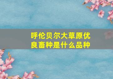 呼伦贝尔大草原优良畜种是什么品种