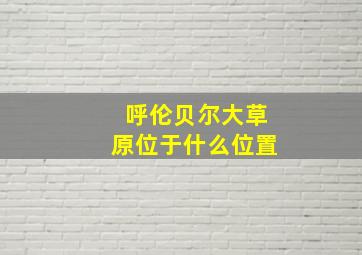 呼伦贝尔大草原位于什么位置