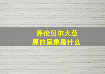 呼伦贝尔大草原的景象是什么