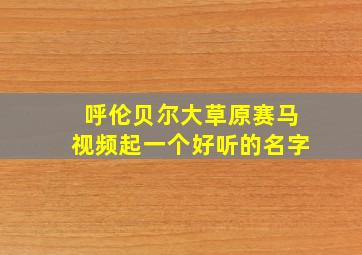 呼伦贝尔大草原赛马视频起一个好听的名字