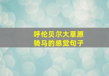 呼伦贝尔大草原骑马的感觉句子