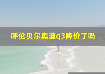 呼伦贝尔奥迪q3降价了吗