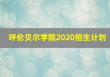 呼伦贝尔学院2020招生计划